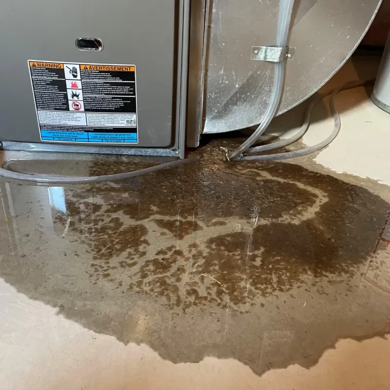 Appliance Leak Cleanup in Cameron Parish, LA